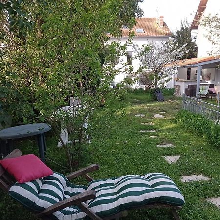 2 Chambres Et Salle De Bain Un Oasis De Bien Etre Piscine Et Jardin Direct Gare Aeroport Toulouse Eksteriør bilde