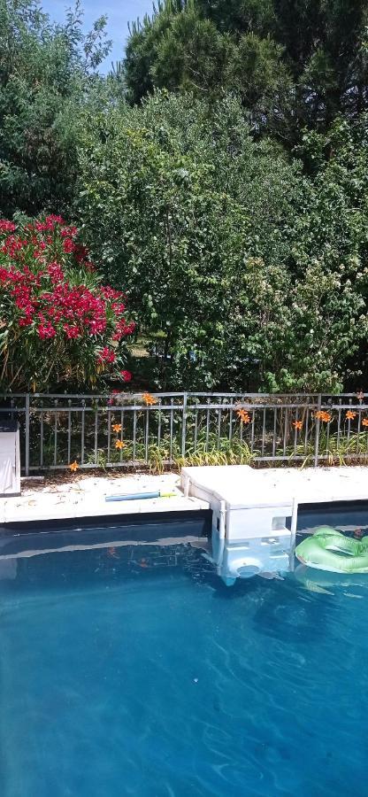 2 Chambres Et Salle De Bain Un Oasis De Bien Etre Piscine Et Jardin Direct Gare Aeroport Toulouse Eksteriør bilde