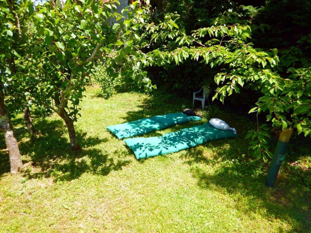 2 Chambres Et Salle De Bain Un Oasis De Bien Etre Piscine Et Jardin Direct Gare Aeroport Toulouse Eksteriør bilde
